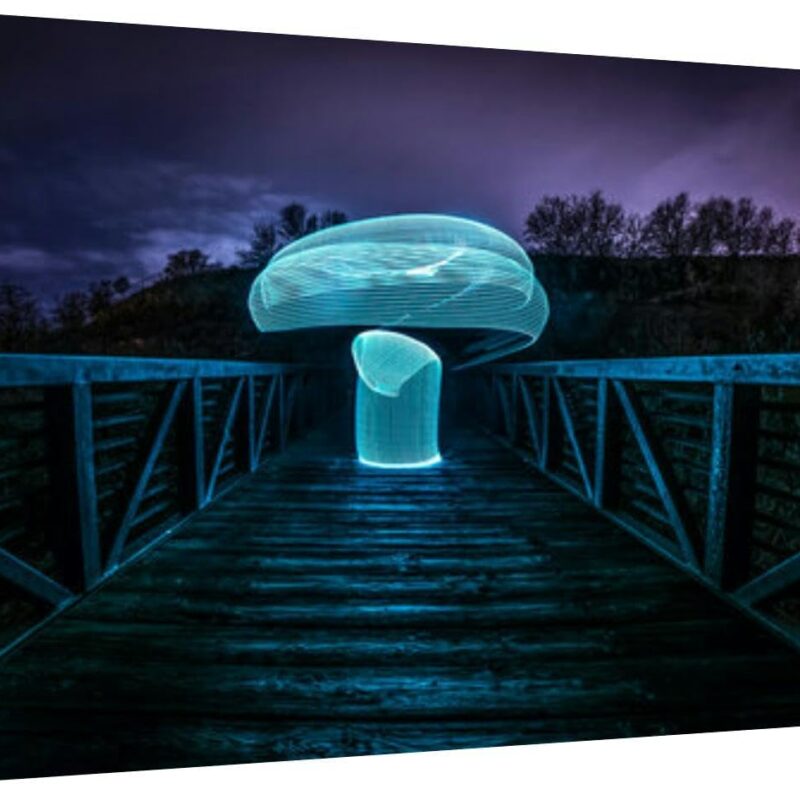 Canvas Wall Art for Living Room Bedroom Long exposure light painted mushroom Big Large Wall Art Decor Framed Painting Wall Pictures Prints Artwork Office