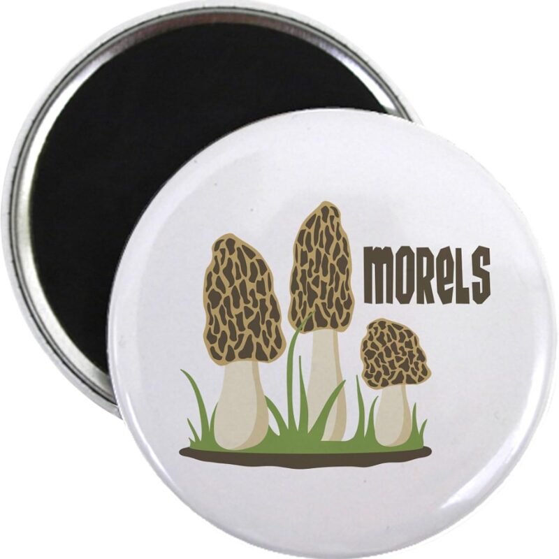 CafePress MORELS Magnets 2.25" Magnet (100 pack)