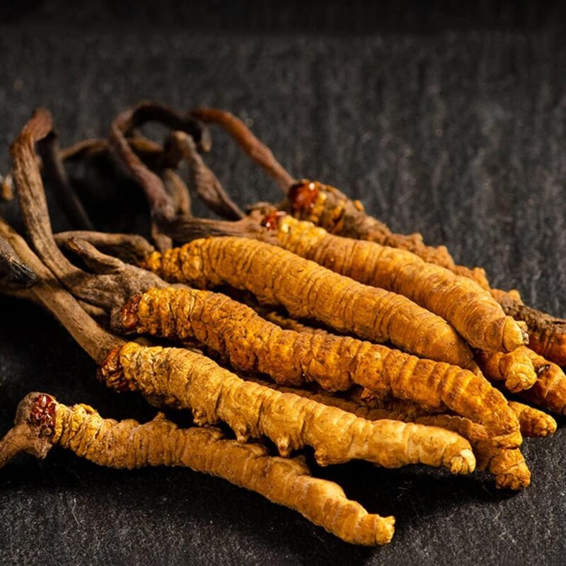 Cordyceps Sinensis 100% Dong Chong Xia Cao Wild Whole Himalayan Sinensis,Cordyceps 100%,Cordyceps Organic from Tibet (6g), 1.0 Count, 6.0 grams