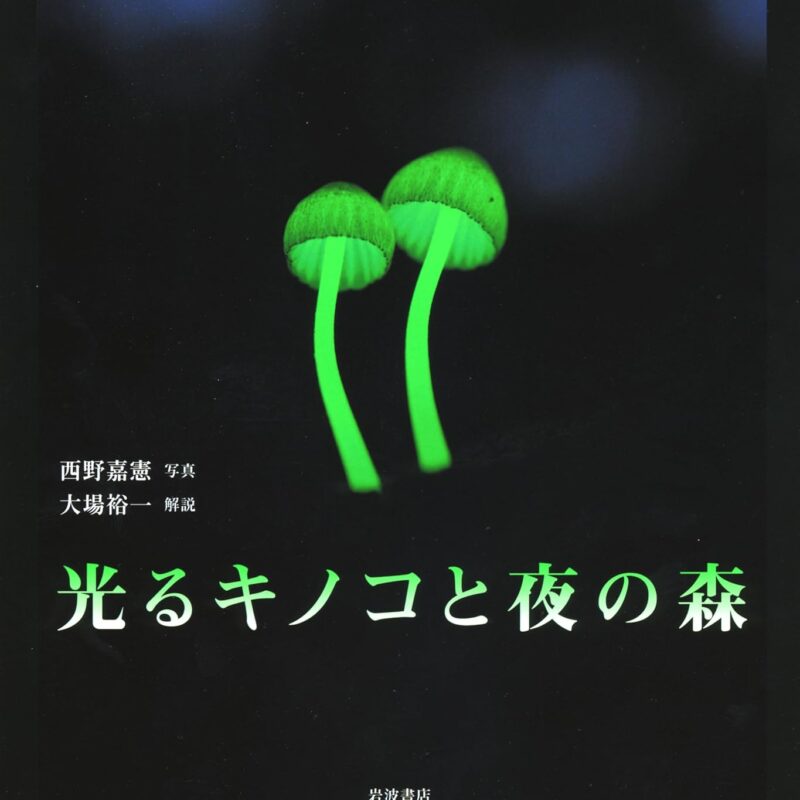 Yonomori mushrooms and glowing (2013) ISBN: 4000058835 [Japanese Import]