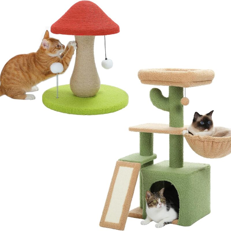 PETEPELA Cactus Cat Tree for Indoor Cats, 31.5'' Small Cat Tower Cat Condo with Sisal Scratching Ramp+Mushroom Cat Scratching Post, Cat Scratcher Cute with 100% Sisal Covered Scratching Post