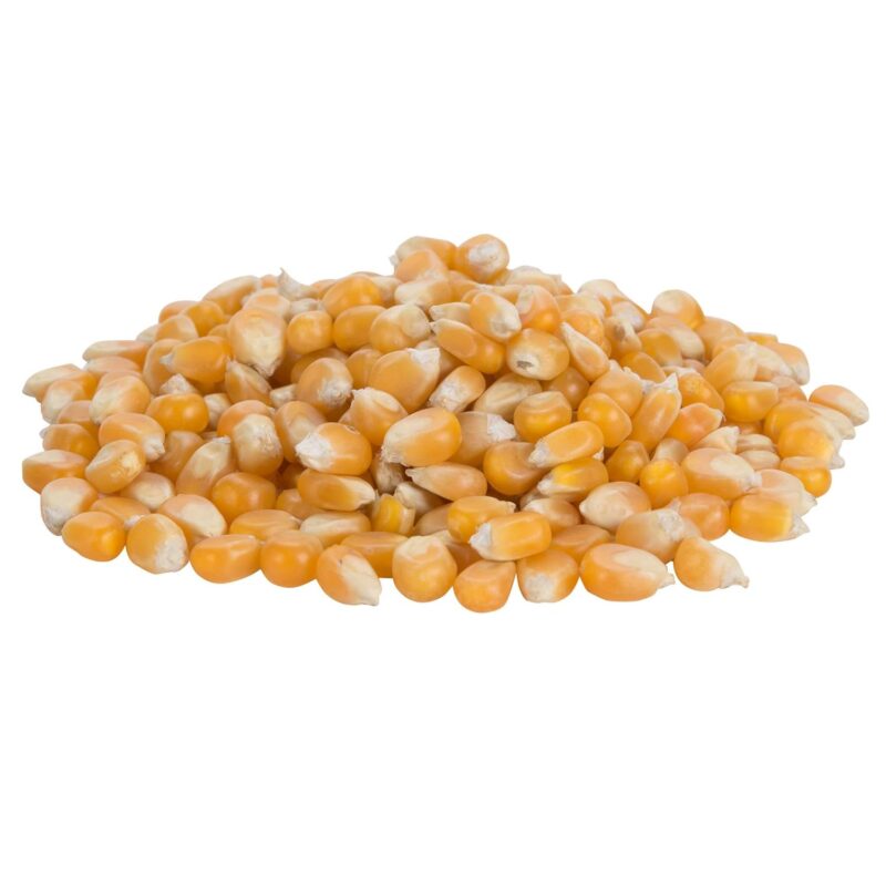 TableTop King 50 lb. HI-POP Organic Mushroom Popcorn Kernels