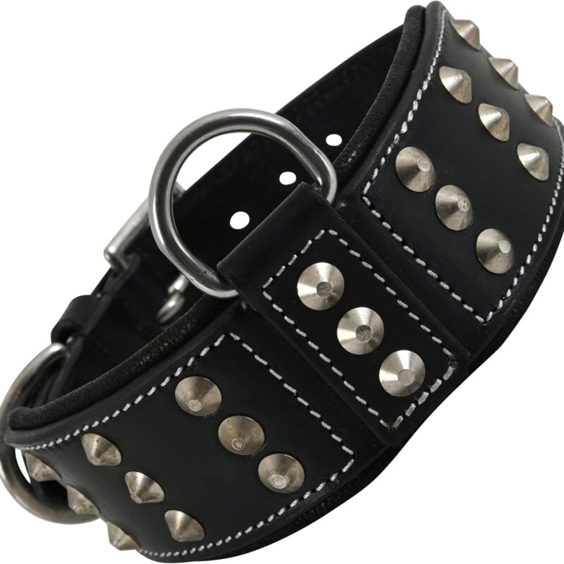 Leather Studded Dog Collar for XL Dog | Brazier Rivet | 2 Inch Wide Dog Collar Black | Genuine, Saddle Grade, Heavy Duty, Cushion Padding | (XL (Fit Neck Size 21.5"-25.5"), Black)