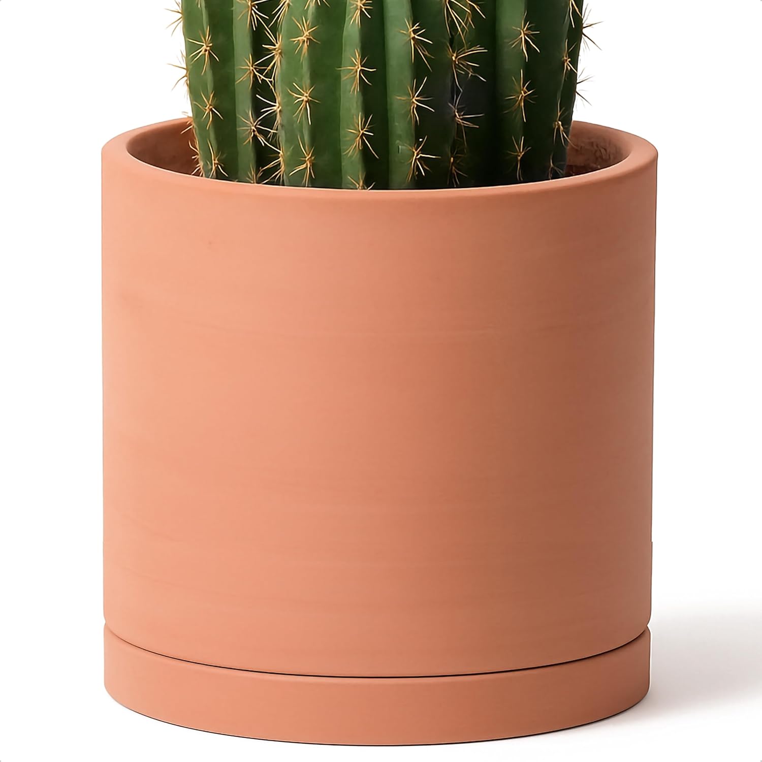 71fa2CelMkL._AC_SL1500_.jpg D'vine Dev X-Large 12 Inch Terracotta Plant Pot with Drainage Hole and Saucer, Round Cylinder Planter Pot for Indoor Plants, 40-X-A-6