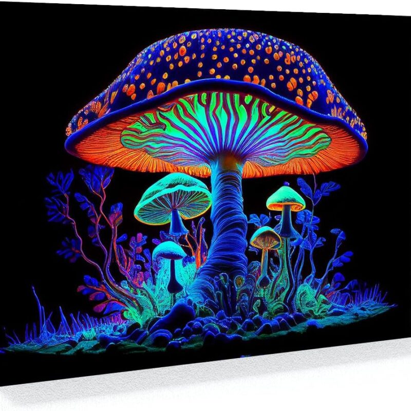 Sense Canvas Trippy Psychedelic Mushroom 24 Canvas Art - Home Decor Wall Art Print Poster Painting Small 16x12 / 0.75"