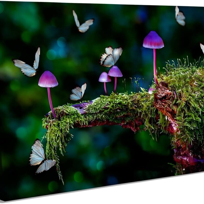 Framed Natural landscape posters magical butterfly and mushroom art colorful mushroom wall art wall art Modern family living room Bedroom office Farm Hotel corridor wall decoration 24x36 framed