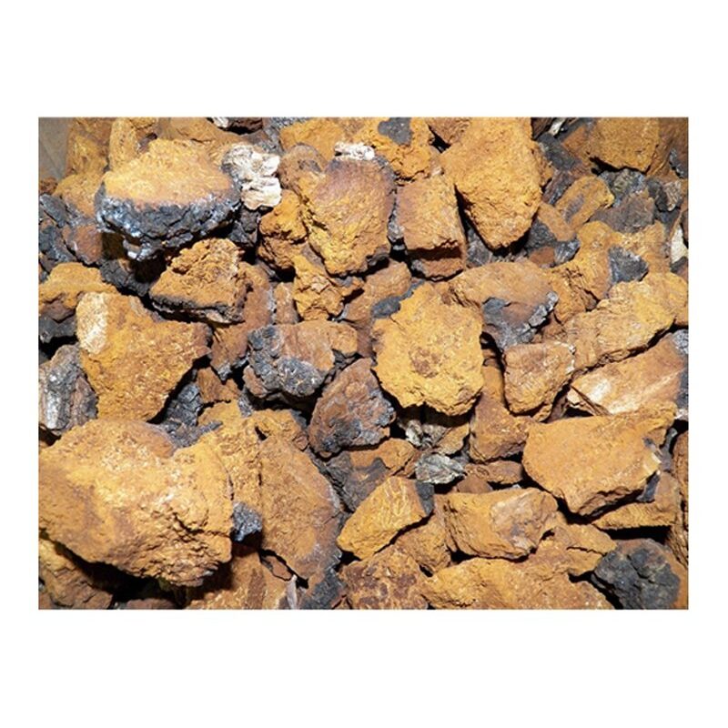 Dried USA Grown Chaga Mushrooms