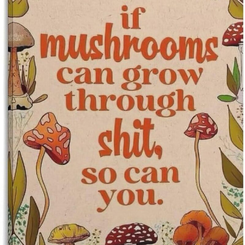 HBHEYUN Fun Mushrooms Encouragement Quote Motivational Poster Canvas Wall Art Posters For Room Aesthetic And Decor Pictures For Living Room Bedroom Decor 24x36inch(60x90cm)