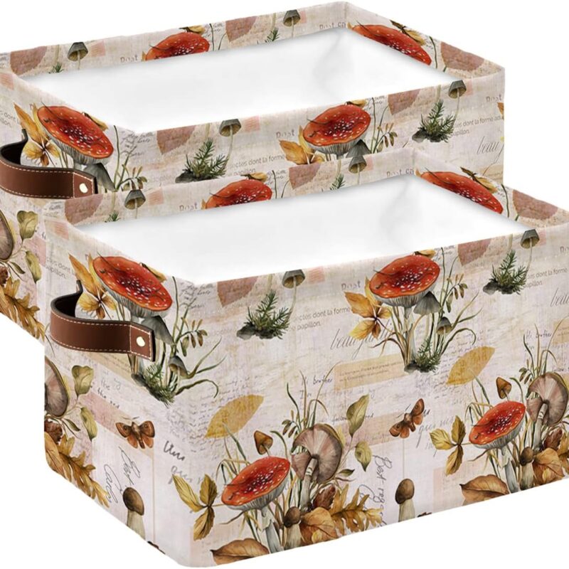 Fall Mushroom Storage Basket for Shelves, Orange Leaves Butterfly Rustic Newspaper Storage Cube Fabric Storage Bins, Closet Organizers with Handles for Book, Toys, Cloth, 15"x11"x9.5", 2 Pack