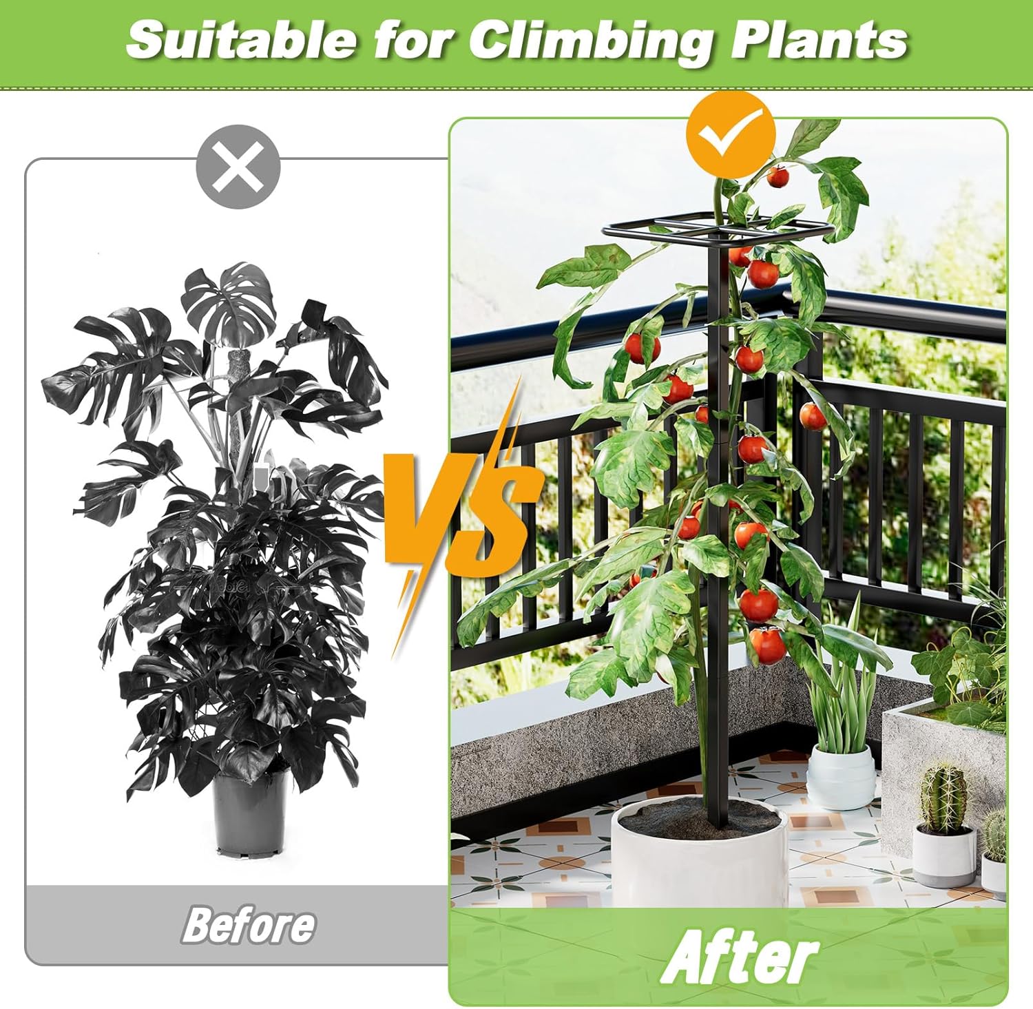 81-8qQcwMuL._AC_SL1500_.jpg 1PCS Dragon Fruit Trellis - 47.2" Metal Climbing Plant Support for Vertical Gardening, Durable & Weather-Resistant Trellis for Dragon Fruit, Roses, and Vining Plants - Image 5