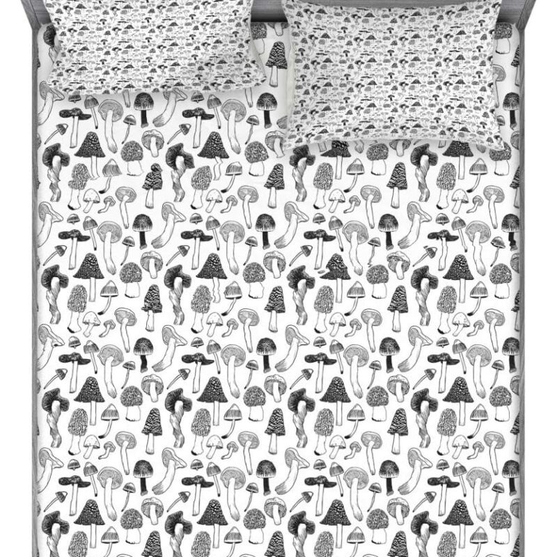 Ambesonne Mushroom Fitted Sheet & Pillow Sham Set, Various Types of Fungus Extraordinary Creative Design on Plain Backdrop, Decorative Printed 3 Piece Bedding Decor Set, Full, Charcoal Grey