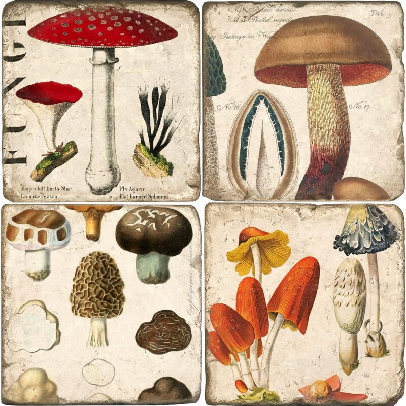 Mushrooms Tumbled Marble Coasters, Set of 4