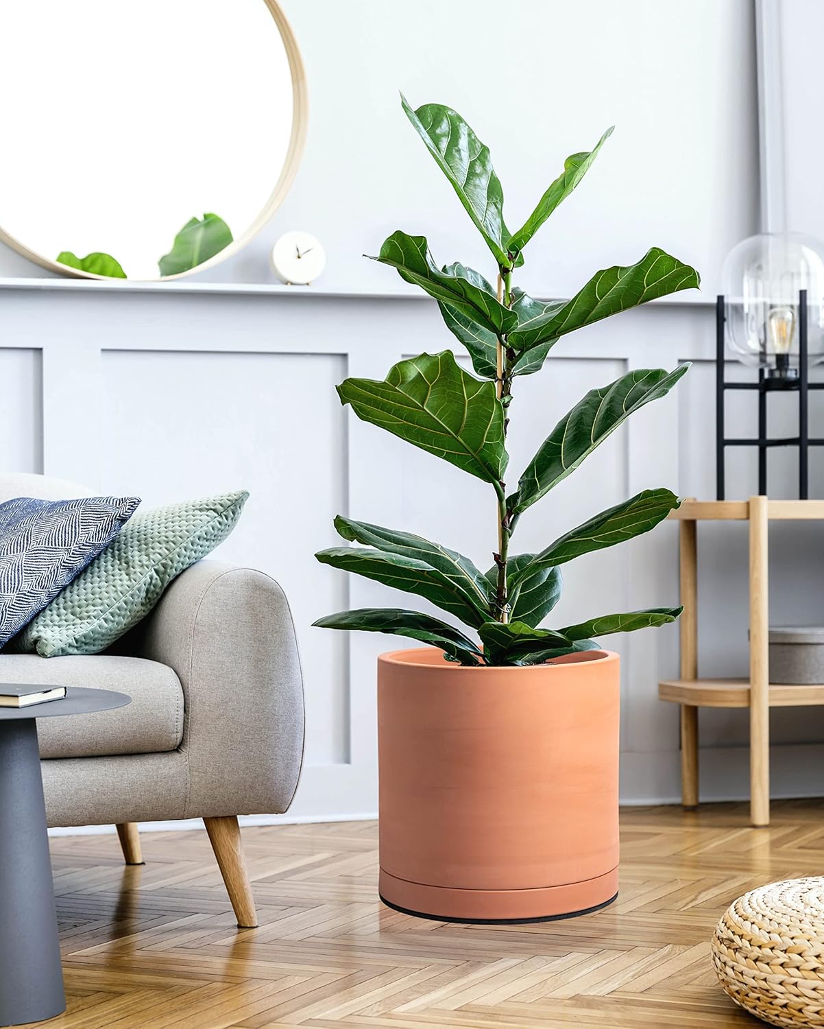 81T7RFb2bpL._AC_SL1500_.jpg D'vine Dev X-Large 12 Inch Terracotta Plant Pot with Drainage Hole and Saucer, Round Cylinder Planter Pot for Indoor Plants, 40-X-A-6 - Image 2