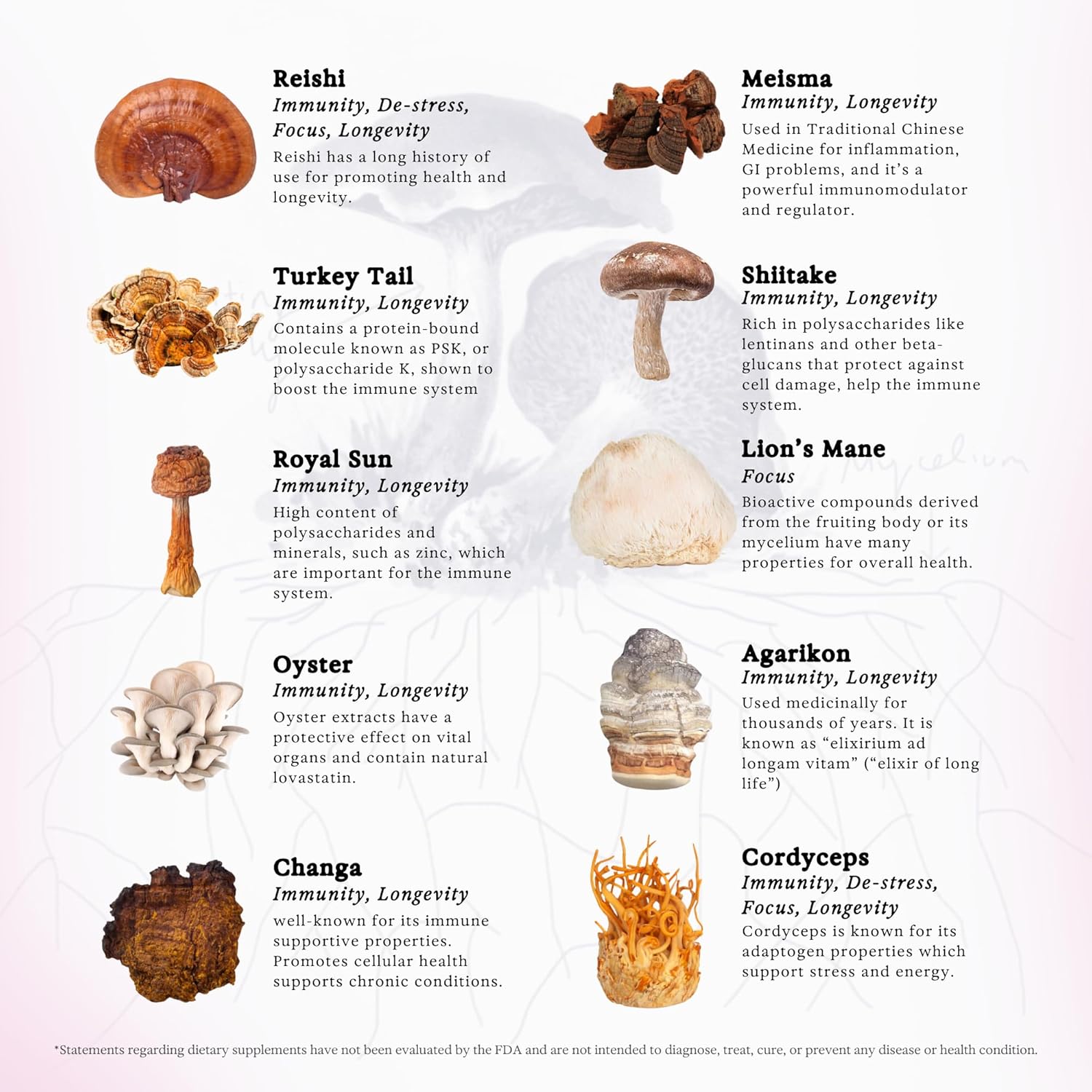 81dXc7dAVQL._AC_SL1500_.jpg Mushroom Bundle, 11:11 Mushroom Extract + Cordyceps Mushroom Tincture, Dual Extract Daily Mushroom Tinctures for Comprehensive Immune Support, Vegan Liquid Mushroom Supplements - Image 3
