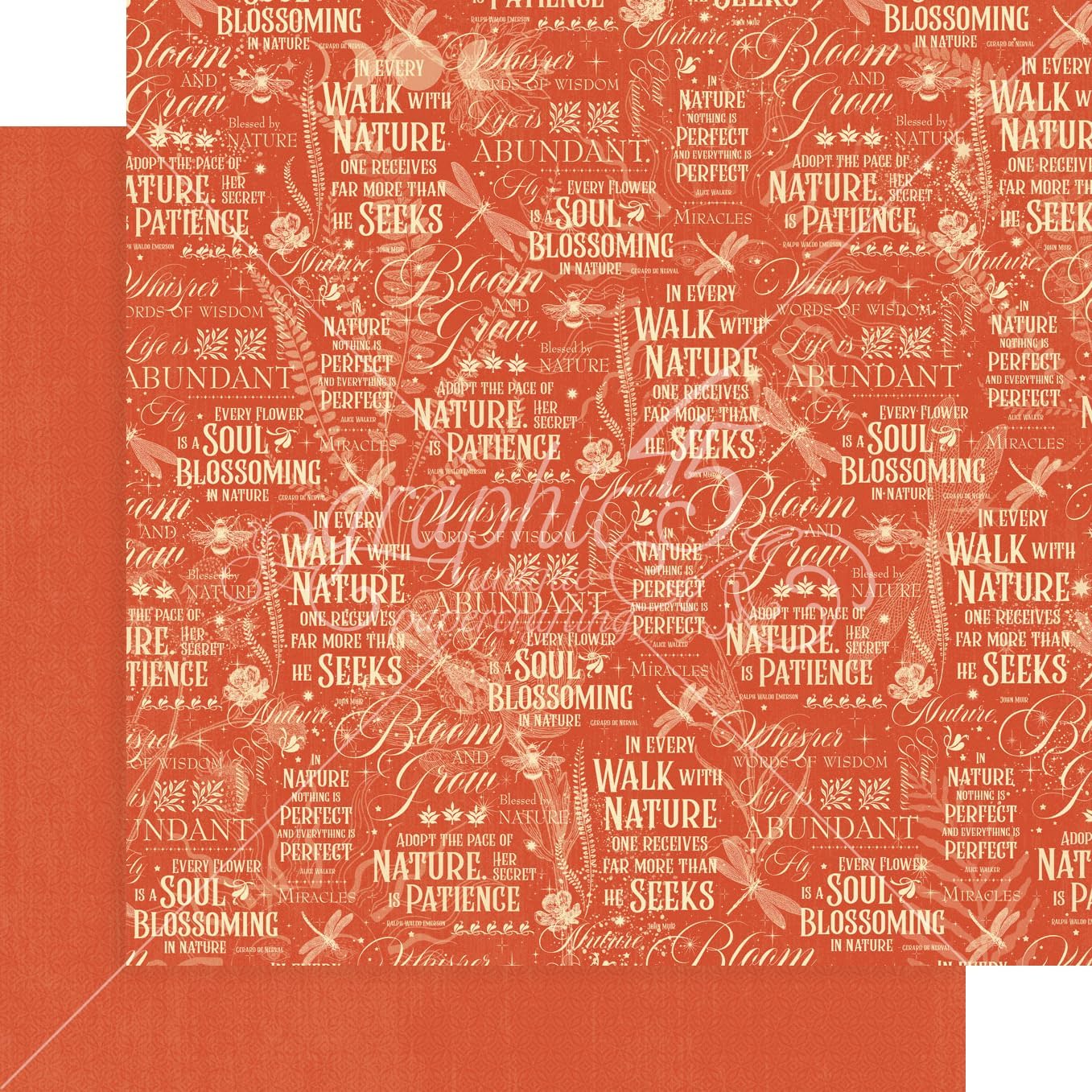 81fQc3X7aNL._AC_SL1357_.jpg Graphic 45 Life is Abundant - 12x12 Decorative Papers - Collection Pack and Patterns & Solids Pack - Image 7