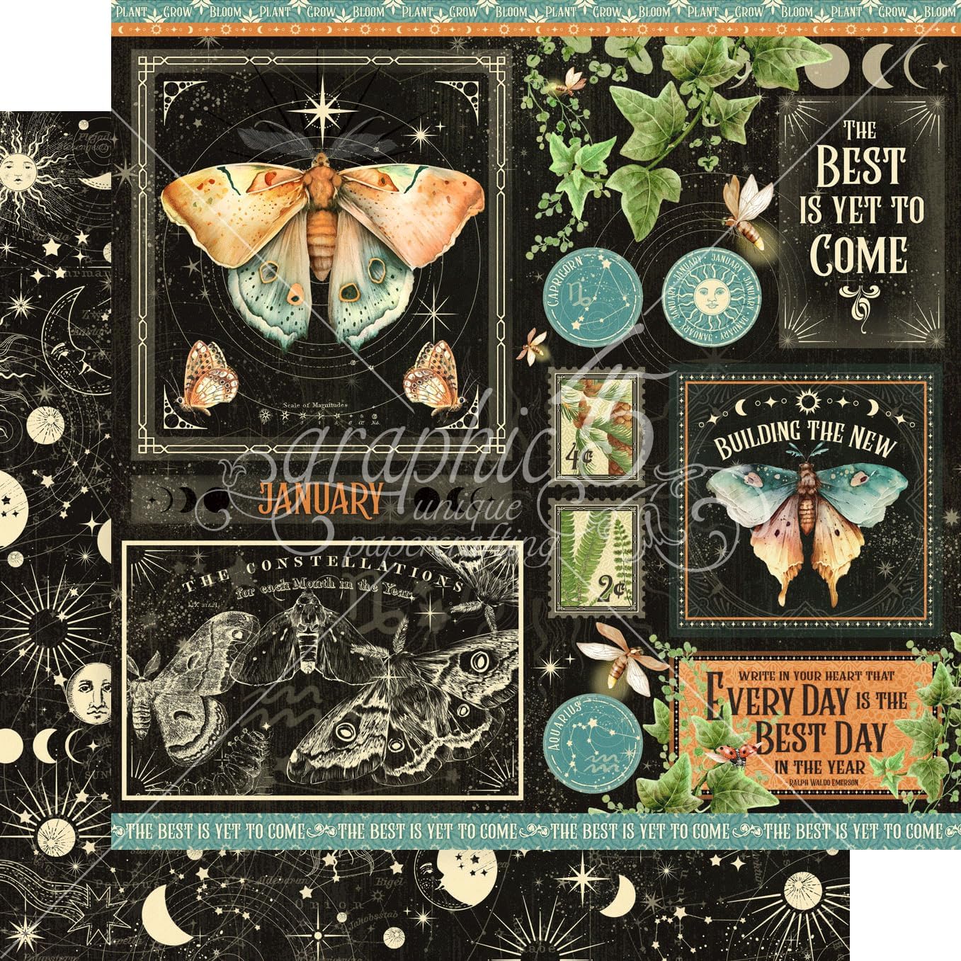 81gnMologqL._AC_SL1357_.jpg Graphic 45 Life is Abundant - 12x12 Decorative Papers - Collection Pack and Patterns & Solids Pack - Image 3
