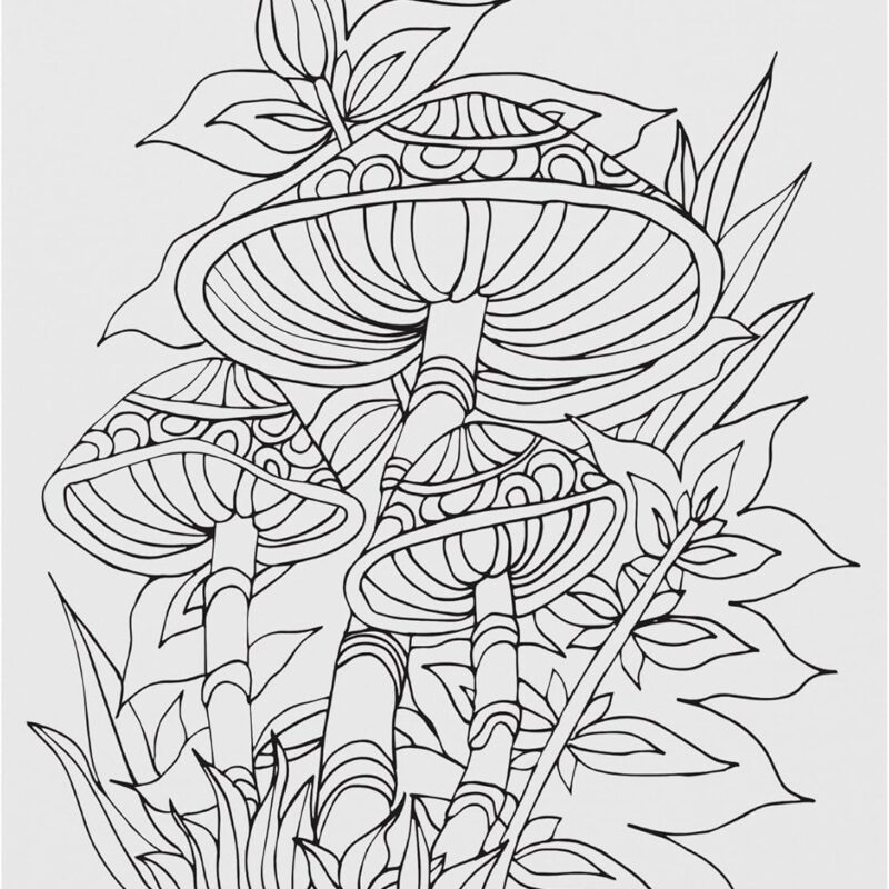 Trademark Fine Art Mushroom 4 by Jessica Putnam, 18x24, Multicolor