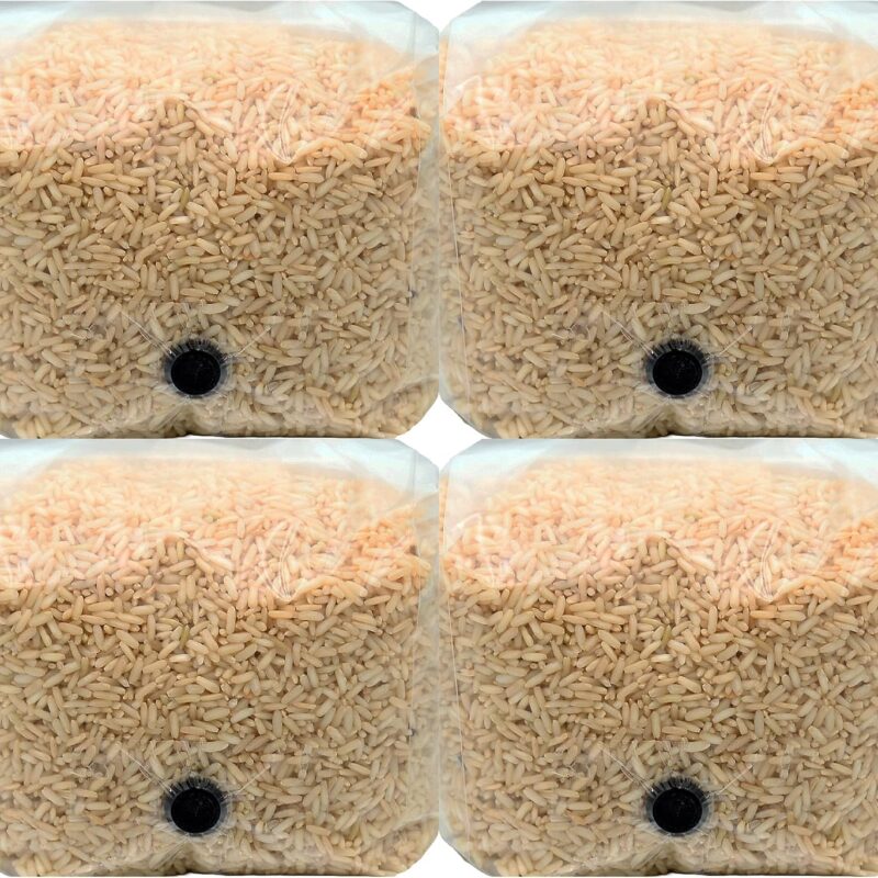 Premium Brown Rice Mushroom Spawn Bag | Sterilized Grain Spawn with Injection Port | 3 lb Each (4)