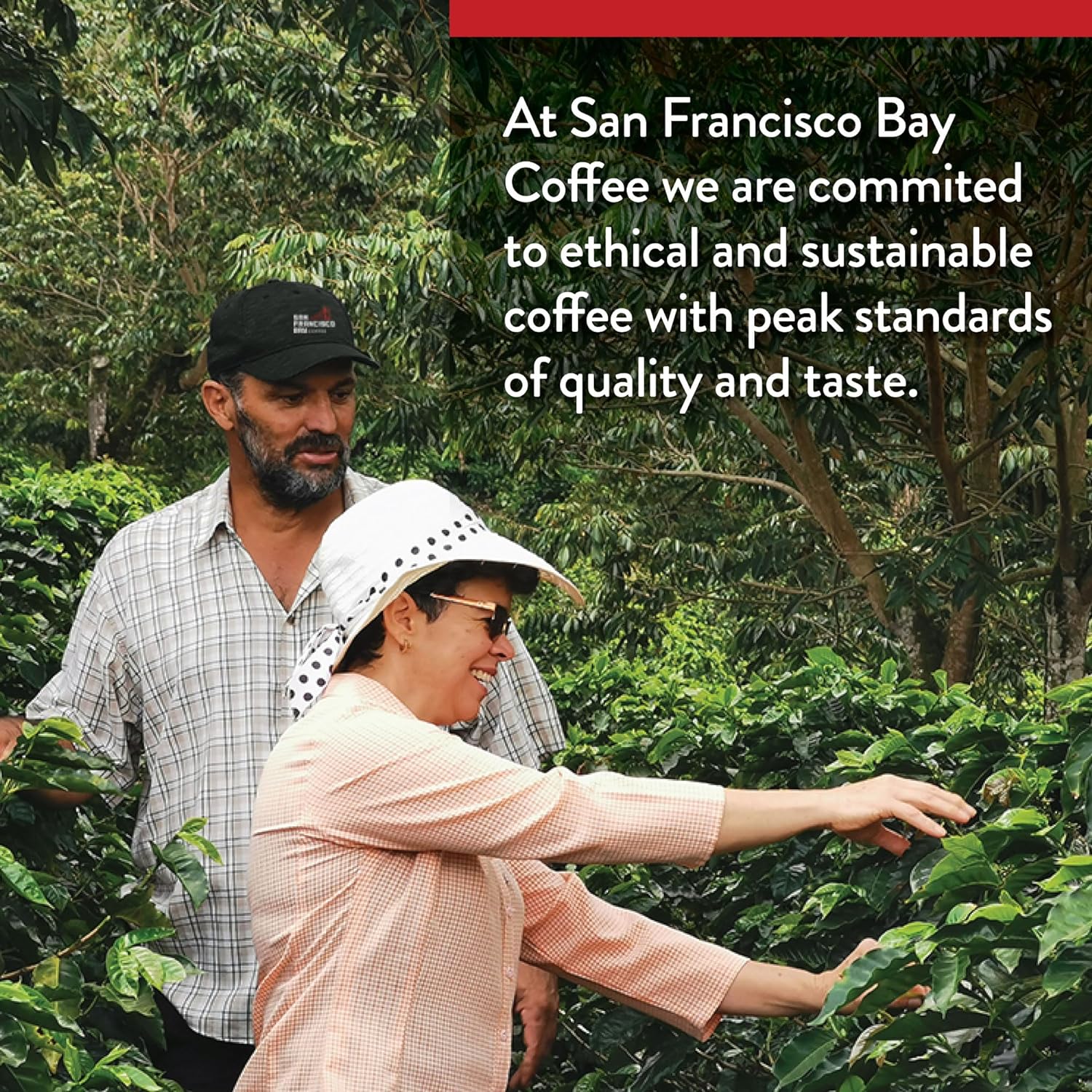 91x63FVHp3L._SL1500_.jpg San Francisco Bay Compostable Coffee Pods - Organic Rainforest Blend (80 Ct) K Cup Compatible including Keurig 2.0, Medium Dark Roast - Image 6
