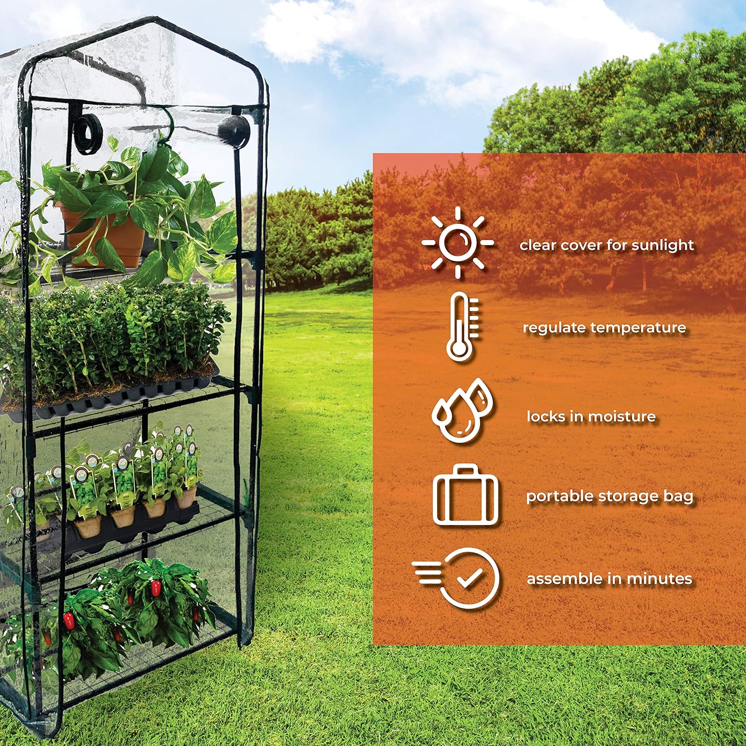 A1qCWfc9KdL._AC_SL1500_.jpg BACKYARD EXPRESSIONS PATIO · HOME · GARDEN 911217 Mini Greenhouse 4-Tier Growing Rack, Portable Carry/Storage Bag, Dark Green - Image 2