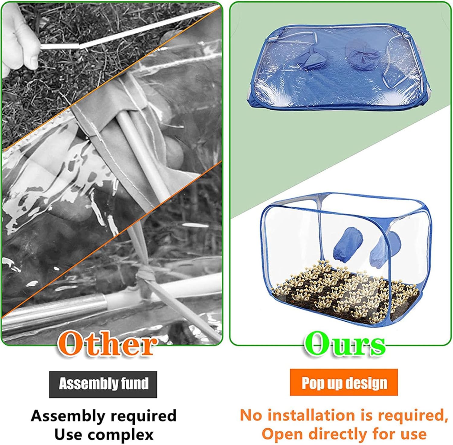 1753197047_81hGshQQqbL._AC_SL1500_.jpg Mushroom Grow Tent Still Air Box, up Foldable Portable Mushroom Grow Kit Planting Bag Tent, PVC Mushroom Grow Bag with 2 Arms Ports Mushroom Grow Container for Study Research - Image 4