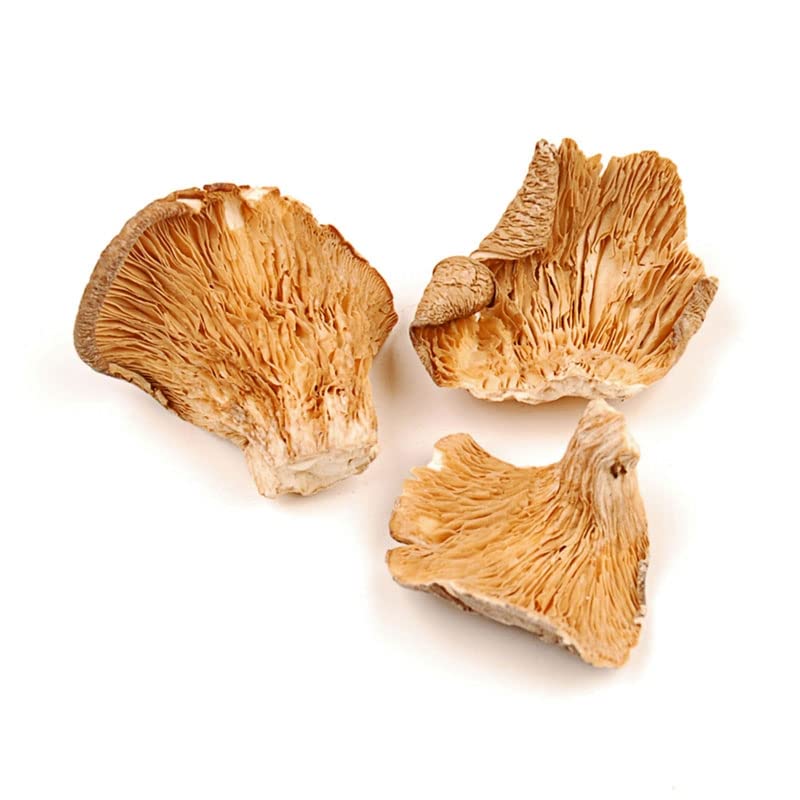 Woodland Foods 259537 Organic Dried Oyster Mushrooms 1 Pound Bag