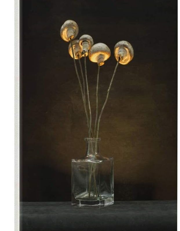 kunst für alle Canvas Print: BrigBarkow Bouquet of Mushrooms Fine Art Print, Canvas on Stretcher, Ready to Hang Wall Picture, 15.7x23.6 inch / 40x60 cm