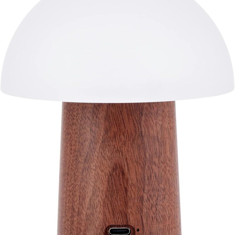 Alice Super Mini Walnut Mushroom Lamp Bringing a Magical Light to Your Wonderland by Gingko
