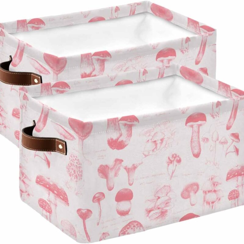 Pink Mushroom Cube Storage Organizer Bins with Handles 2 Packs 15x11x9.5 Inch Collapsible Canvas Cloth Fabric Storage Basket, Books Bin Boxes for Shelves, Closet Vintage Pastoral Botanical Plant