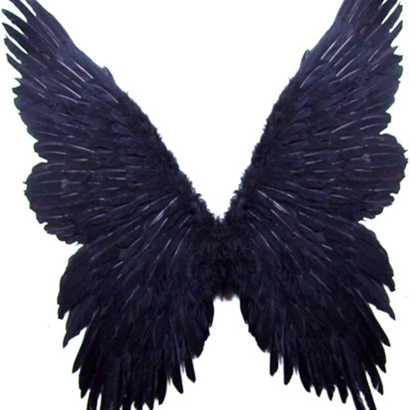 SACASUSA (TM Super Large Feather Butterfly Fairy Angel Wings 2 color Black or White