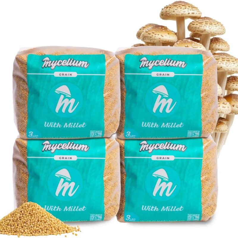 Mycelium Millet Grain Spawn Bags | 2-Pack (3 lb Each) Pre-Sterilized Mushroom Substrate with Self-Healing Injection Port | Ideal for Fast Colonization & Bulk Cultivation | Easy & Ready to Use