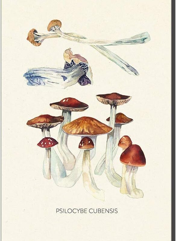Wall Painting Canvas Art Vintage Mushroom Psilocybe Cubensis Wall Decor Picture and Poster Home Decoration (Not Framed,90x140 cm)