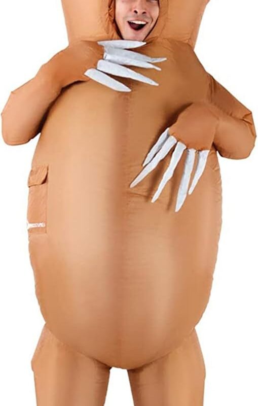 Morph Sloth Inflatable Costume Adult, Inflatable Costume Sloth, Sloth Halloween Costume, Inflatable Sloth Costume, Blow Up Sloth Costume, Inflatable Costumes Adult Funny