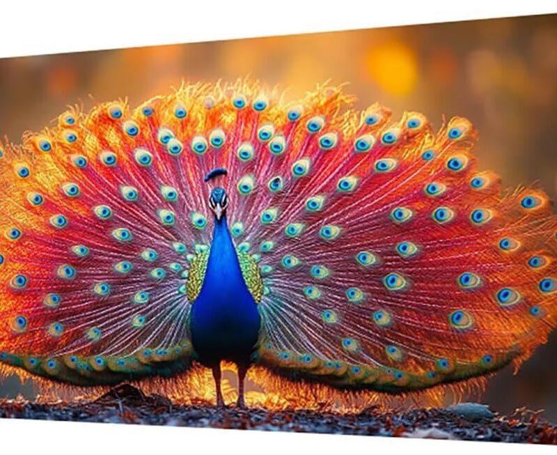61nue-UcxxL._AC_SL1200_.jpg Peacock Paint by Numbers Kit for Adults, Bird Paint by Numbers, DIY Crafts for Adults Oil Painting Art Kits with Brushes and Acrylic for Home Wall Decor, Gifts for Women 40x80 in (No Frame) Model-0706