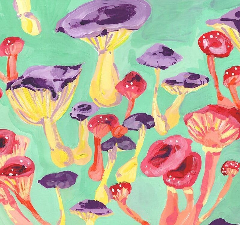 Magic Mushrooms Poster Print - Ania Zwara (36 x 24)