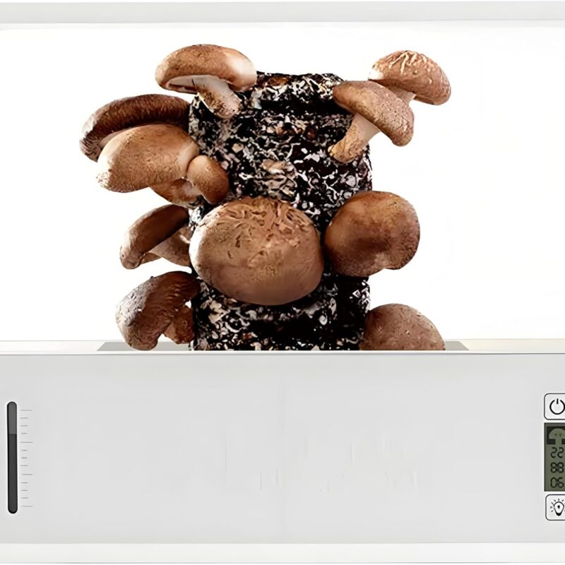 Smart Mushroom Monotub Grow Kit,with Grow Light Automatic Humidification & Exhaust Indoor Mushroom Growing Box Temperature Display Fresh Air System