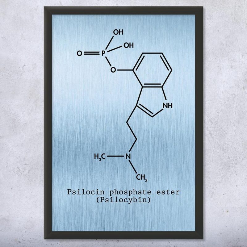 Framed Psilocybin Molecule Print, Magic Mushrooms, Psilocybin Art, Stoner Gift, Hippie Gifts, Shrooms Art Print Blue Steel (13x19)
