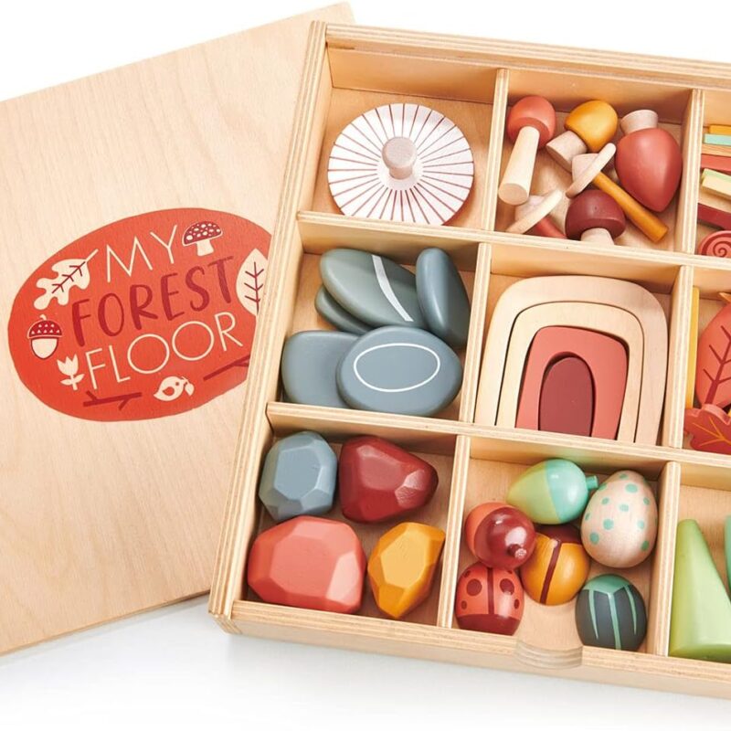 Tender Leaf Toys My Forest Floor - Wooden Open-Ended Tinker Tray Creative Play Box with Removable Compartments - Montessori Toy for Imaginative Play - Age 3+