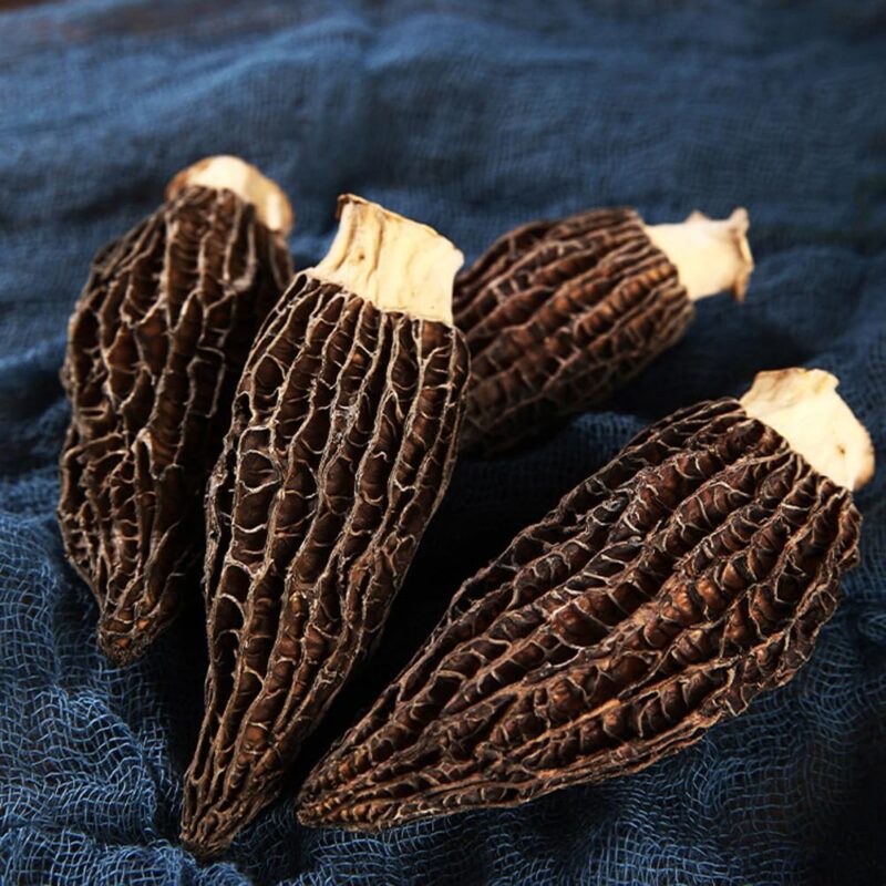 Dried Morchella Morels Mushroom Yangdujun (500g(17.64oz))