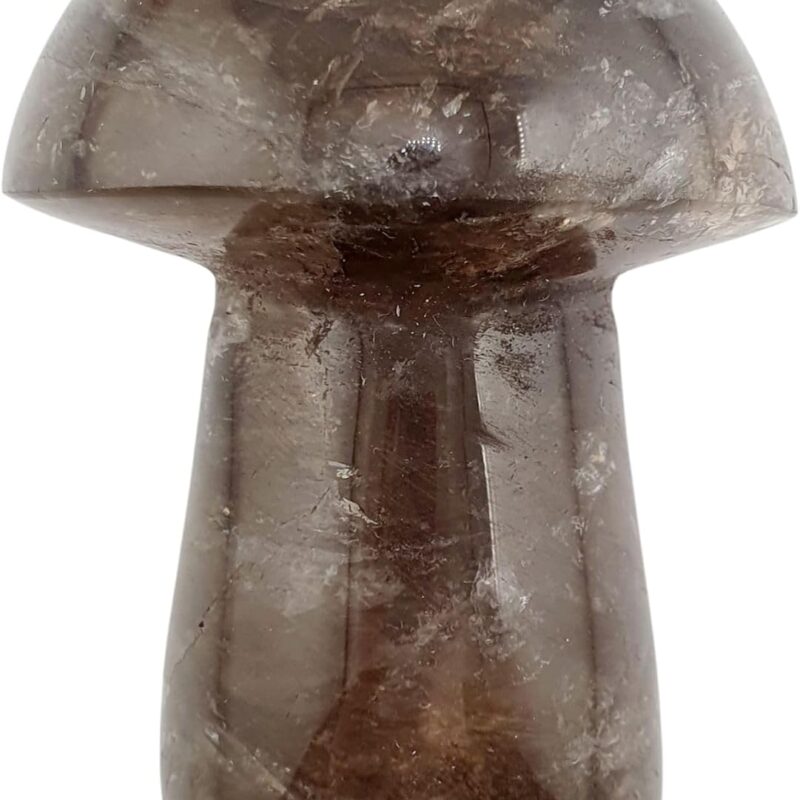 Mushroom Smoky Quartz Stone Figurine MUSHA42 Geofossiles Healing Crystal Mineral Stone Fossils