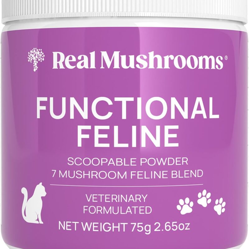 Real Mushrooms Cat Supplement Powder – Organic Mushroom Blend with Antarctic Krill & Ashwagandha – Cat Vitamins for Older Cats or Kittens – 2.65 oz Functional Feline Formula