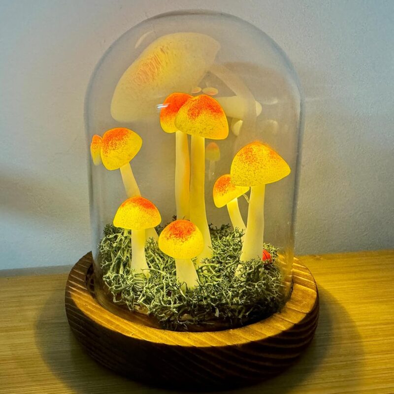 Mushroom Lamp, Decor LED Light in Glass Dome with Base for Home Bedroom Decor Birthday with Birthday Valentines Anniversaries Gifts Box (Orange-2)