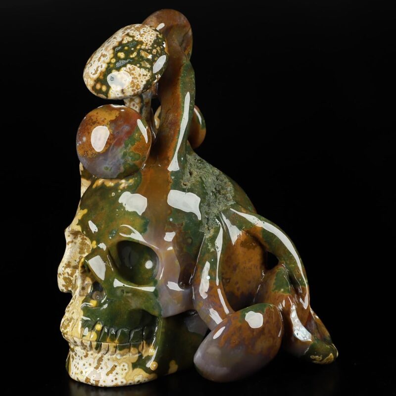 6.9" Ocean Jasper Carved Crystal Skull & Mushroom, Crystal Healing