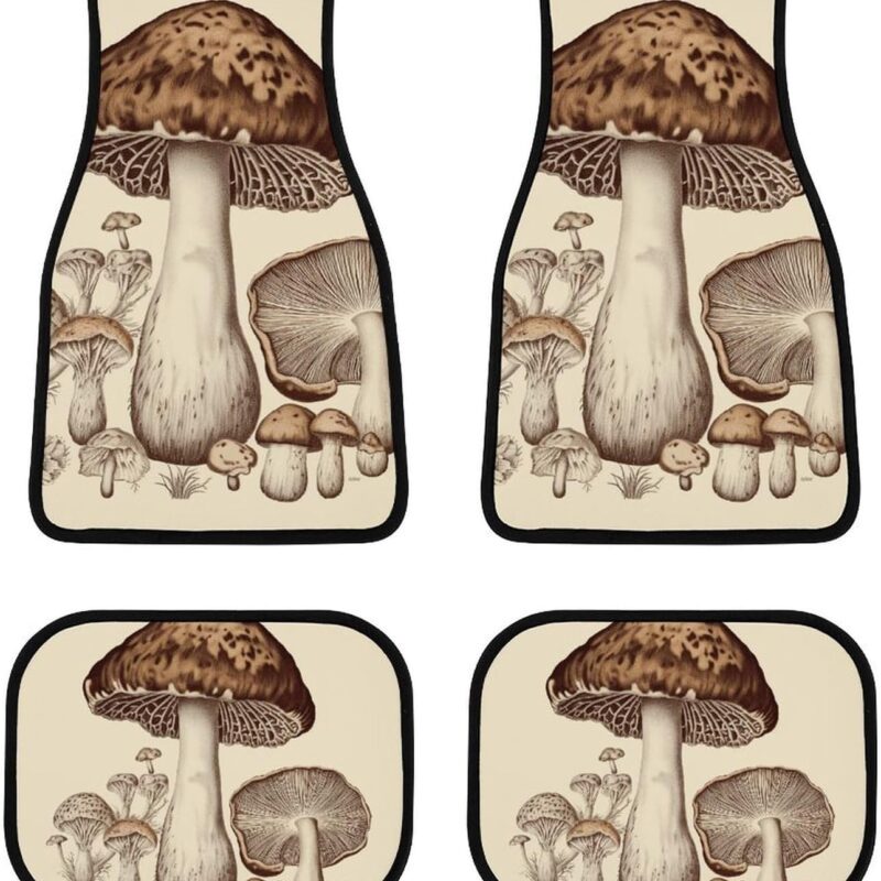 71gh0YCJBbL._AC_SL1500_.jpg Vintage Mushrooms Drawing Car Floor Mats Set of 4 Pieces Non-Slip Front Rear Floor Pad All-Weather Foot Mats Rugs Carpet for Car Trucks SUV Sedans