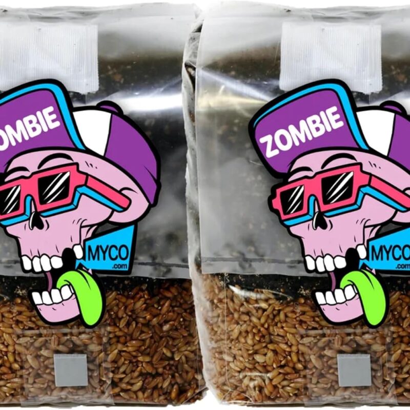 All-in-One Mushroom Grow Kit (2-Pack) – 3lb Mini Bags with Sterilized Grain and CVG Substrate, Injection Ports Included, for Growing Mushrooms at Home (Spores Not Included)