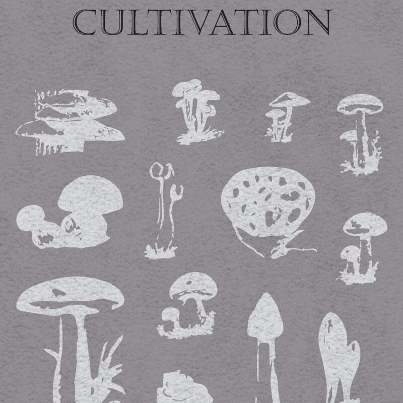 Modern Mushroom Cultivation