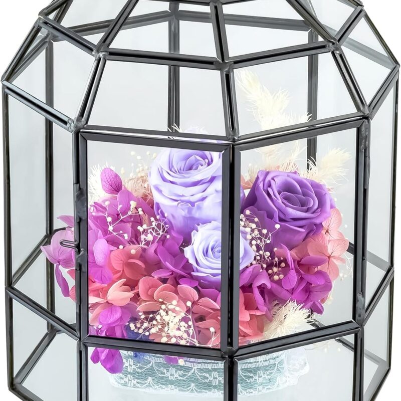 NCYP Geometric Glass Terrarium Dome for Succulent Cacti Air Plants, 6.6x6.6x8 Inches Closed Birdcage Planter Pot, Indoor Miniature Fairy Garden Display Container, Black, Handmade (Only Terrarium)