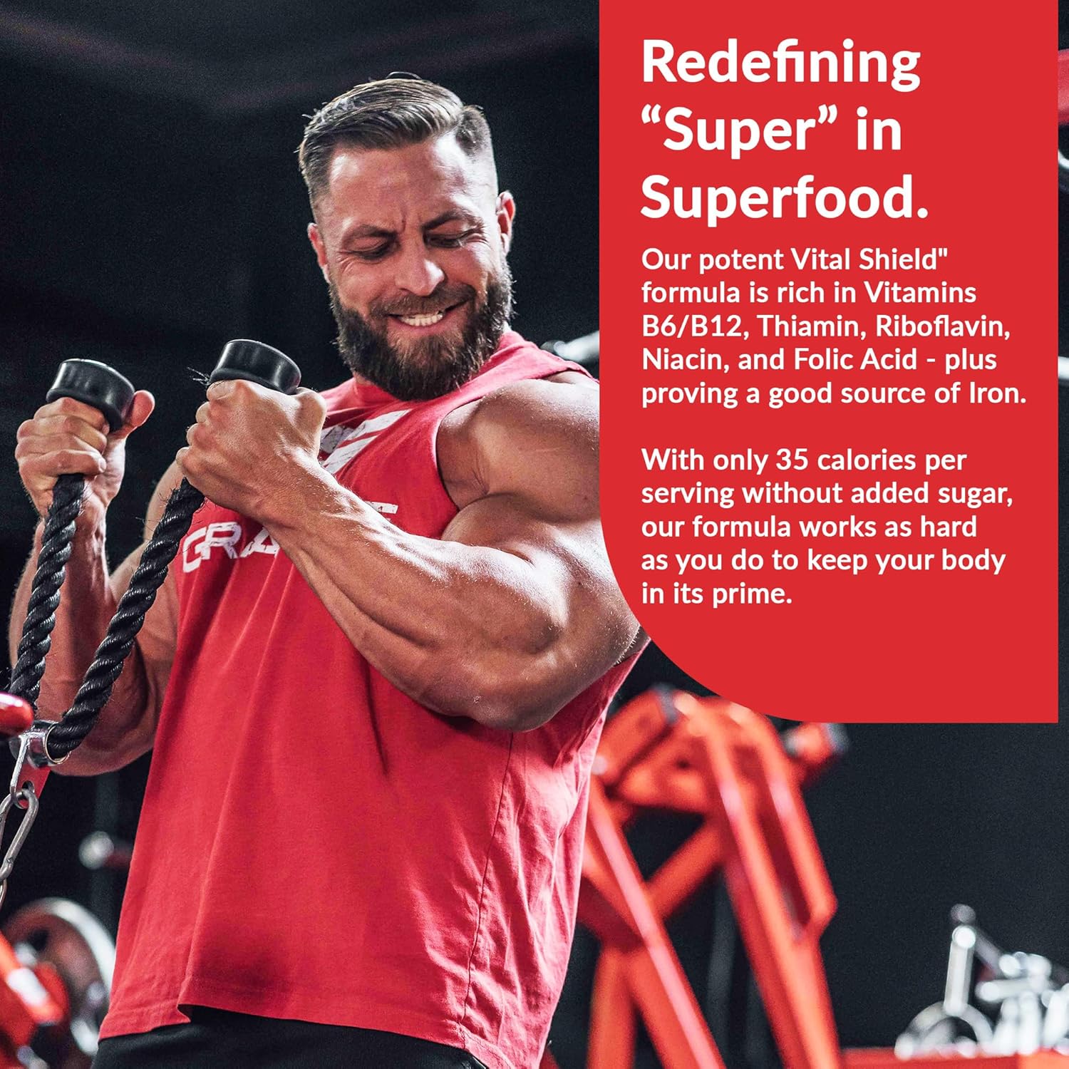818Cs8eo6SL._AC_SL1500_.jpg Granite Nutrition Vital Shield - USDA Organic Superfood Greens with Mushrooms & Tart Cherry for Energy, Immunity & Gut Health - Very Berry (30 Servings) - Image 6