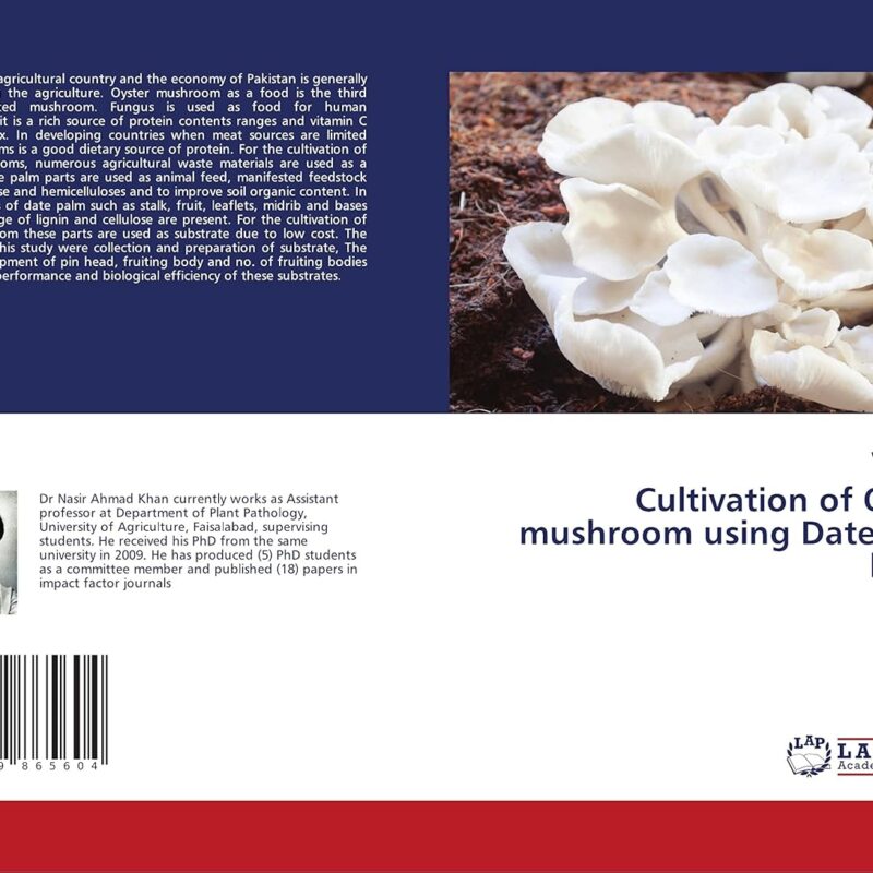Cultivation of Oyster mushroom using Date palm leaves