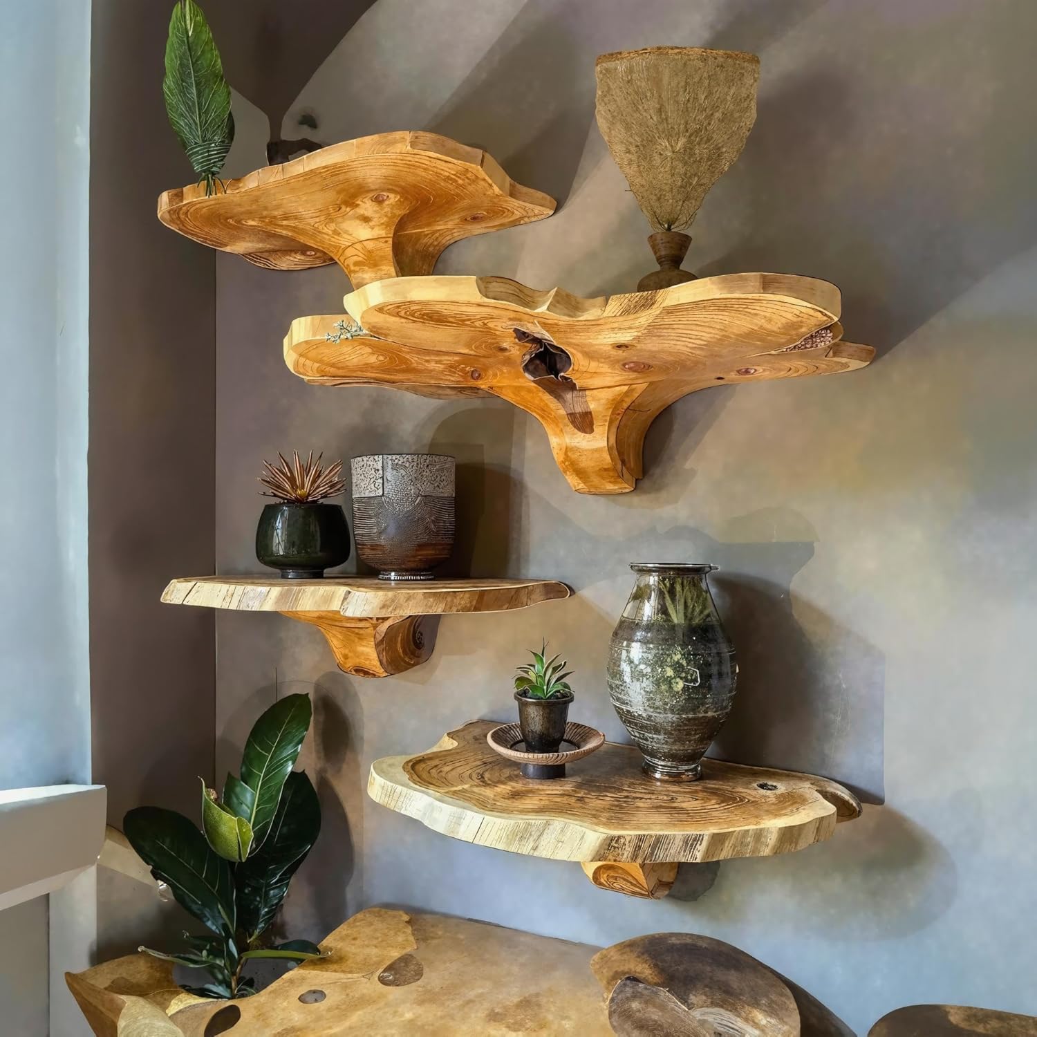 81aYDyAYTtL._AC_SL1500_.jpg Live Edge Floating Shelves – Mushroom Shelf, Handcrafted Rustic Solid Wood, Heavy-Duty Hidden Brackets, Wall Mounted Decor (M4, 10" W x 8" D x 5" H, Medium Oak) - Image 9